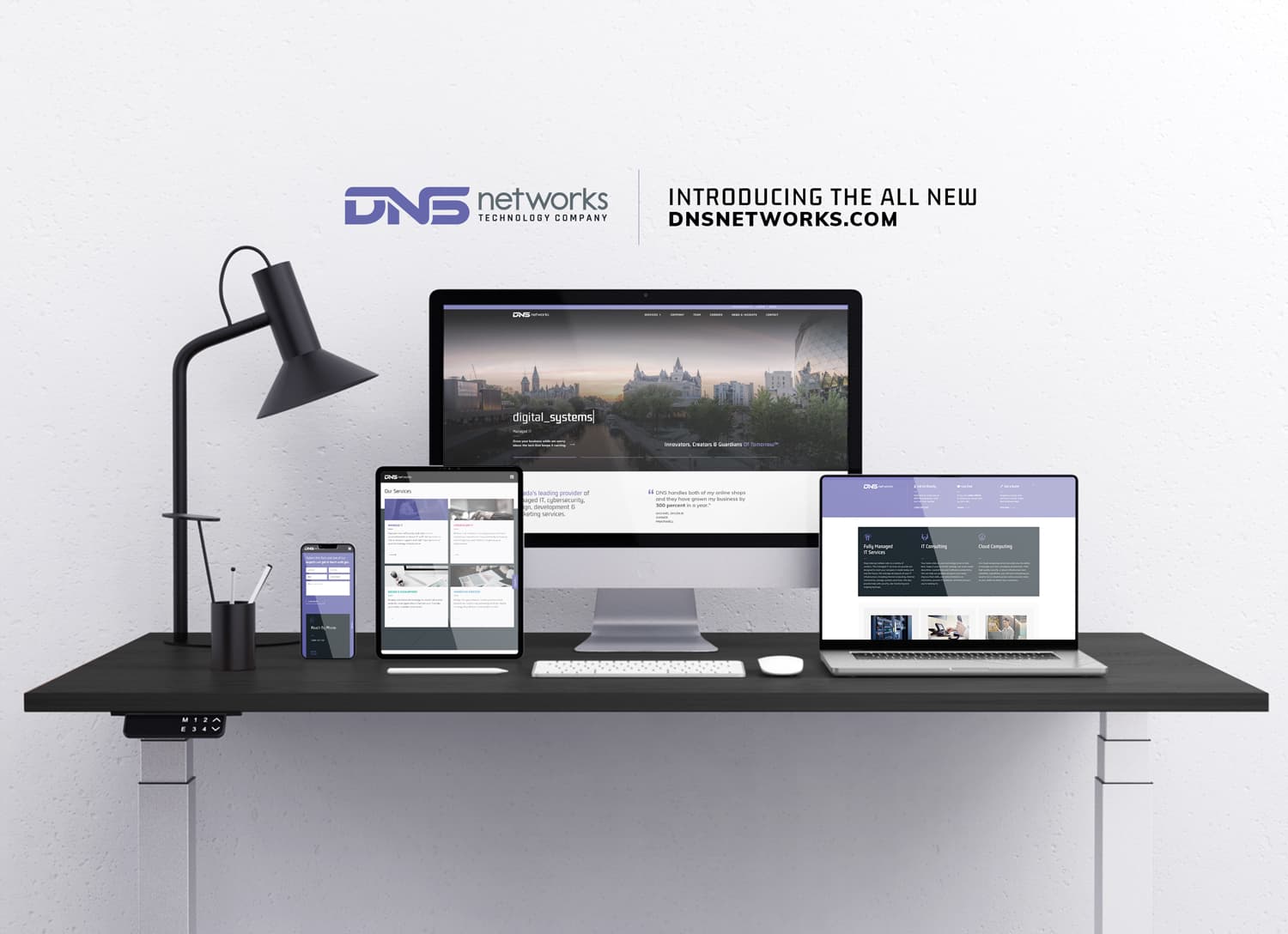 A visual look at the DNSnetworks website redesign.