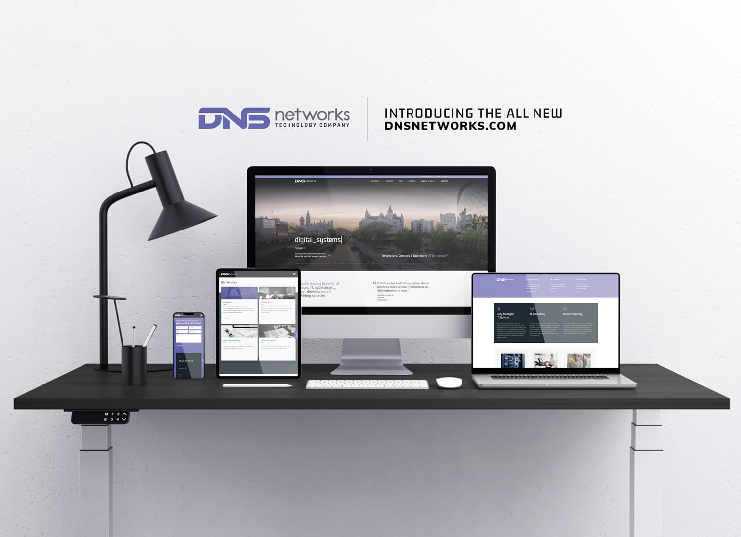 DNSnetworks Website Redesign