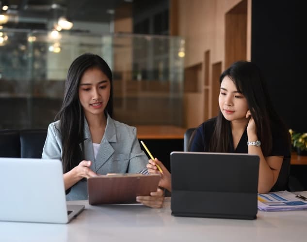 Two IT Consultants conducting and IT audit